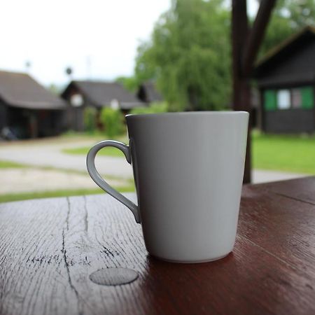 Vila Hiska Catez Brežice Exteriér fotografie