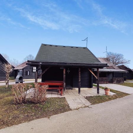 Vila Hiska Catez Brežice Exteriér fotografie