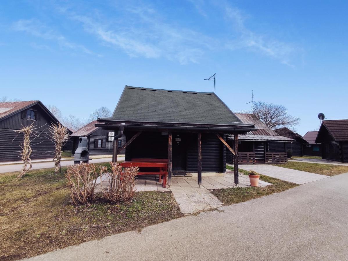 Vila Hiska Catez Brežice Exteriér fotografie